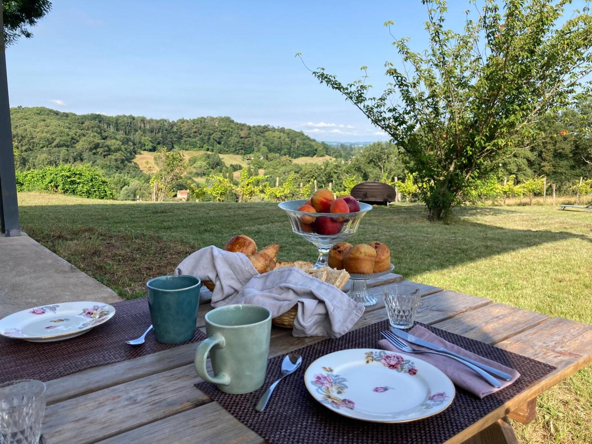 Hotel Domaine Labouroume Salies-de-Béarn Esterno foto